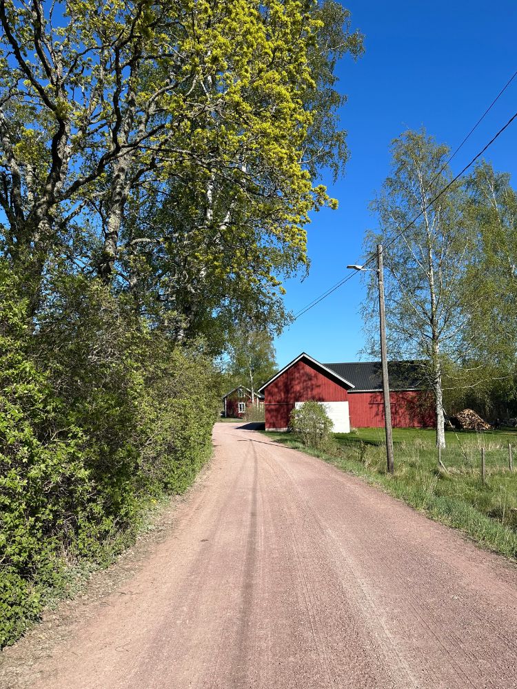 Högsåra village road