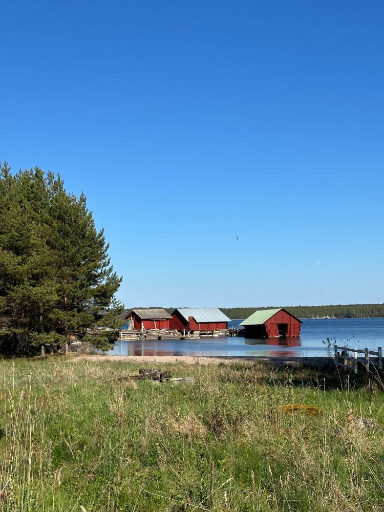 Högsåra venevajoja