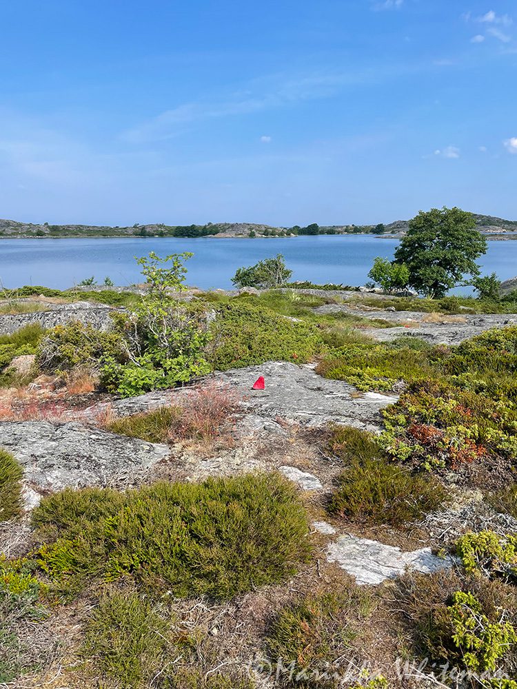punainen polkumerkki