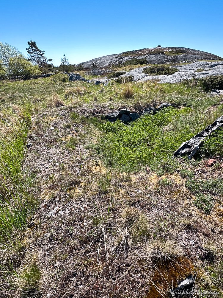 Alskär