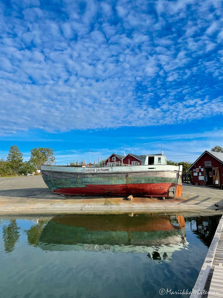 Sjöbjörn