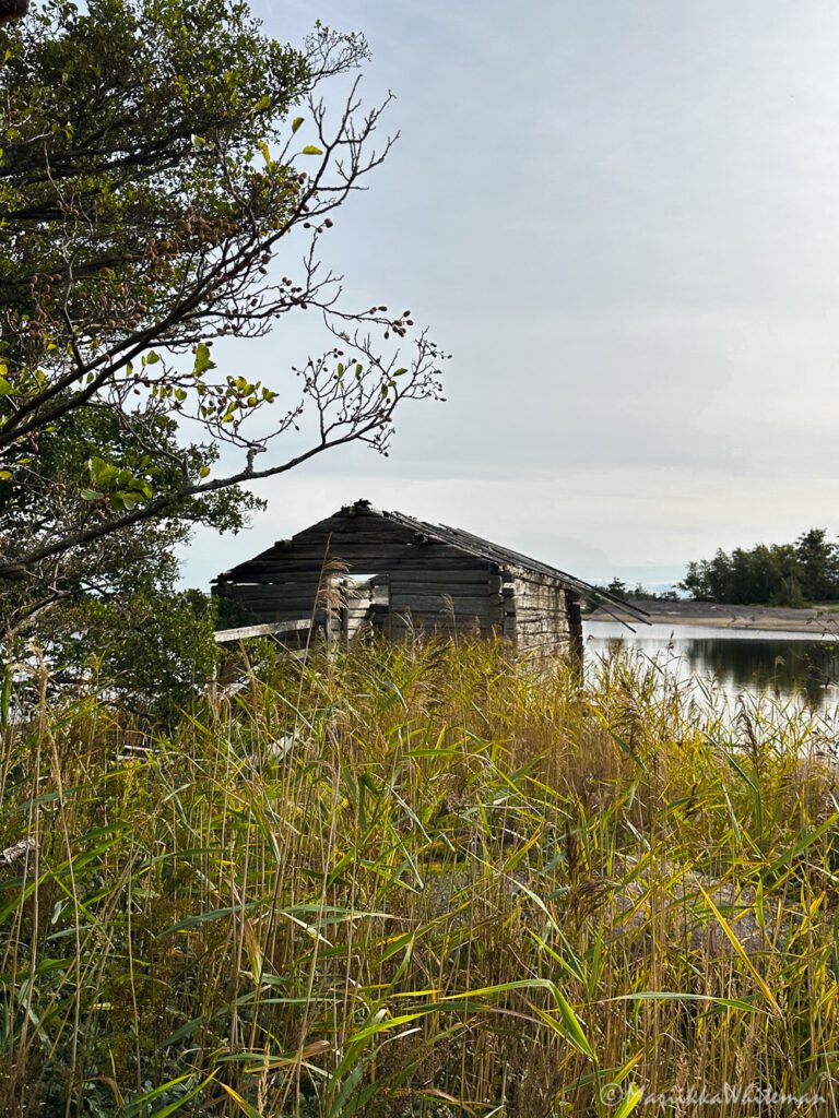 Myrskyluodon Maijan saari