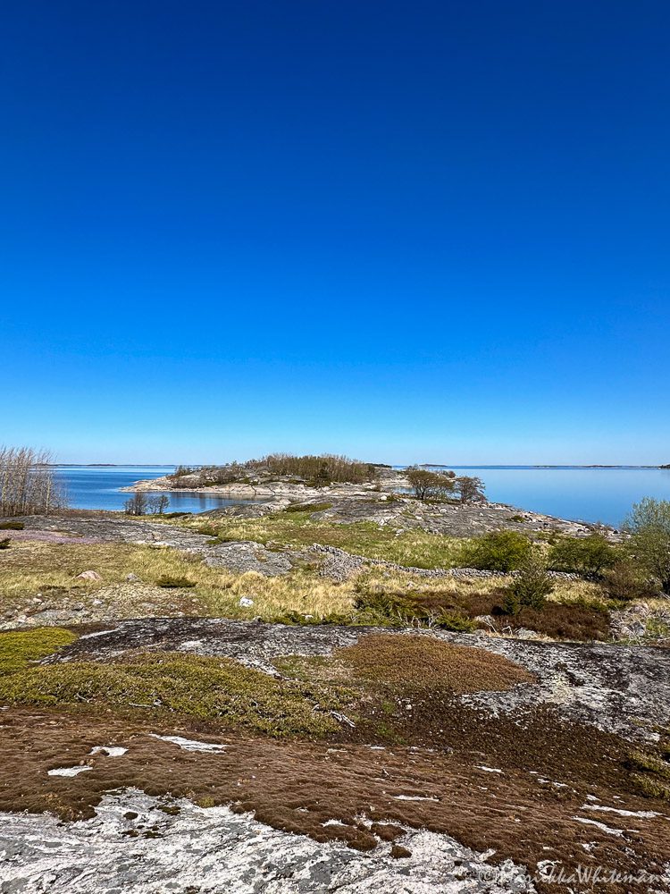 Ahlskär Story