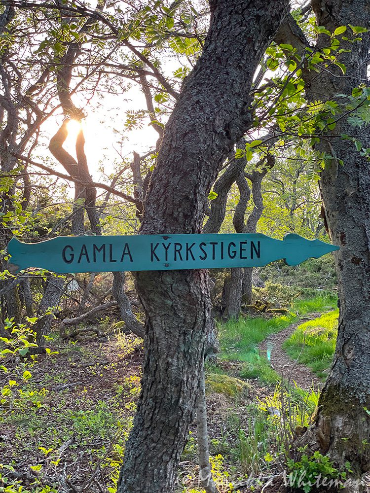 Luontopolkun kyltti