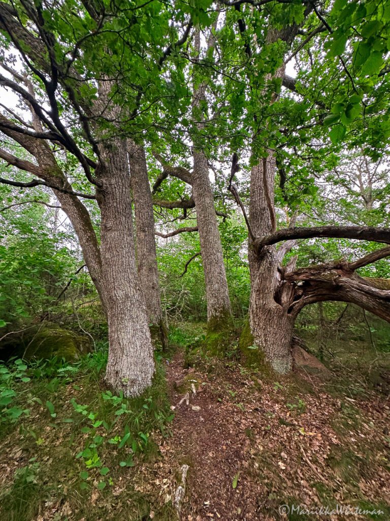 Föglö nature trails