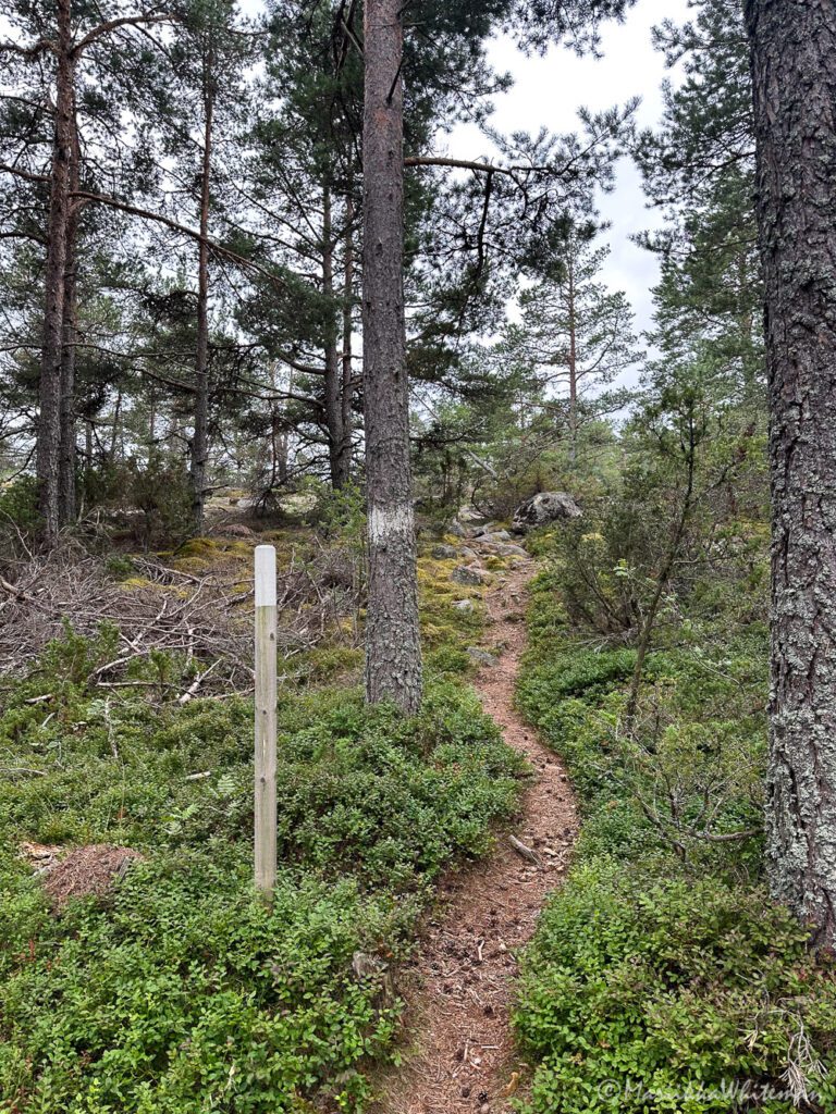 Kumlingen luontopolku