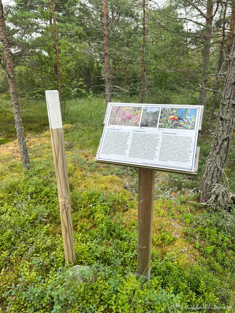 Kumlingen luontopolku