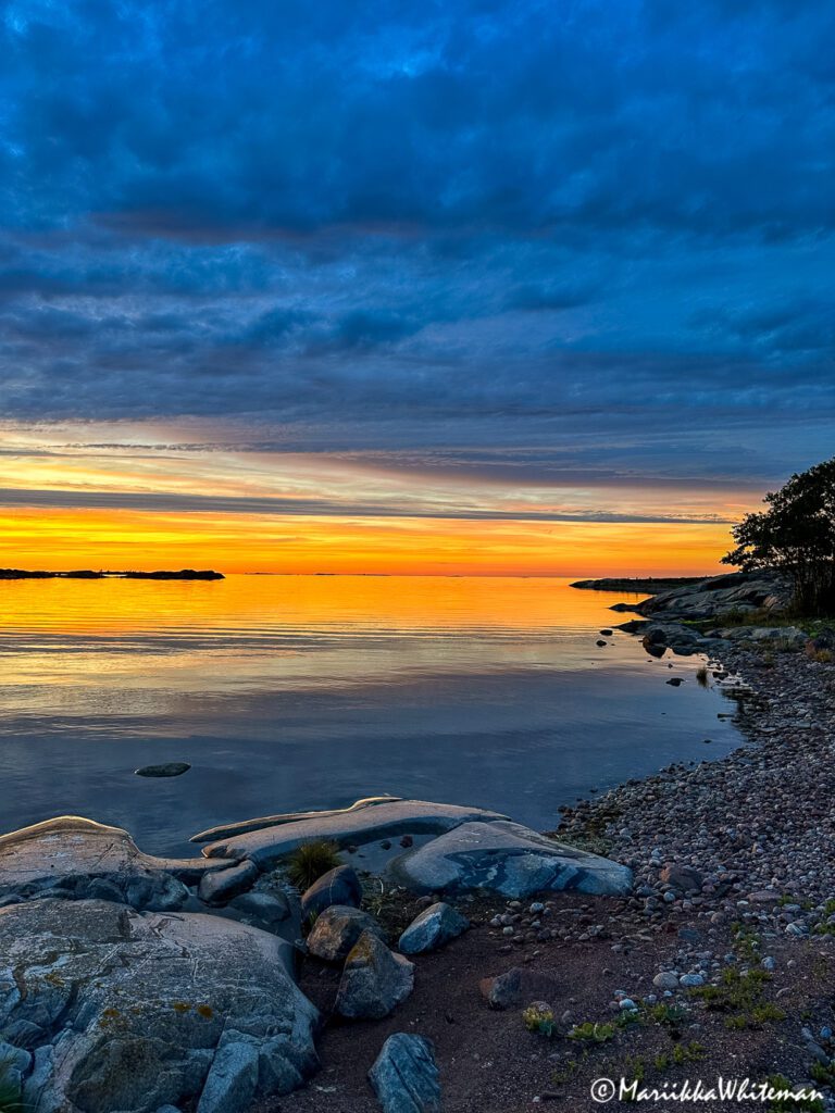 Kuinka pärjätä hyttysten kanssa kuvituskuva
