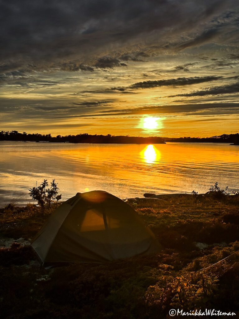 Mosquitos in the archipelago scenery
