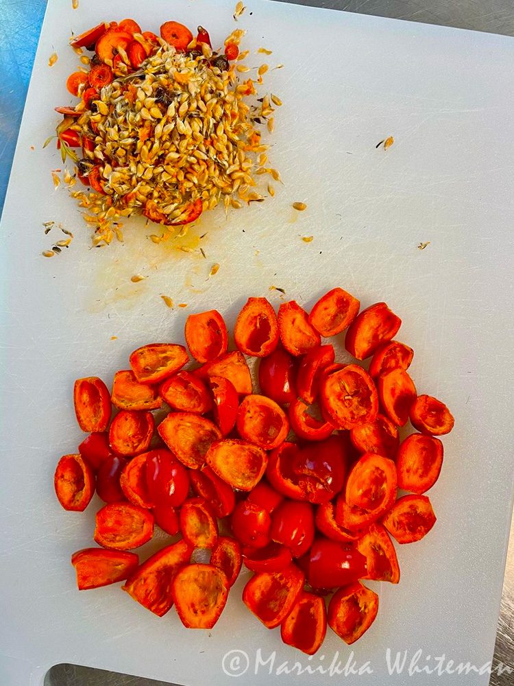 Rose uip puree, cut rosehip berries